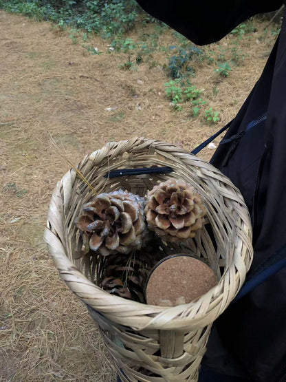 森林野道采蘑菇捡松果 | 徒步后寂照庵吃素斋