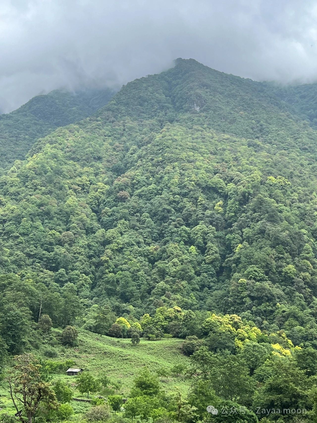 西坡山里人家的一天