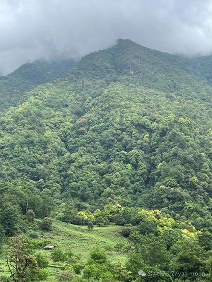 西坡山里人家的一天