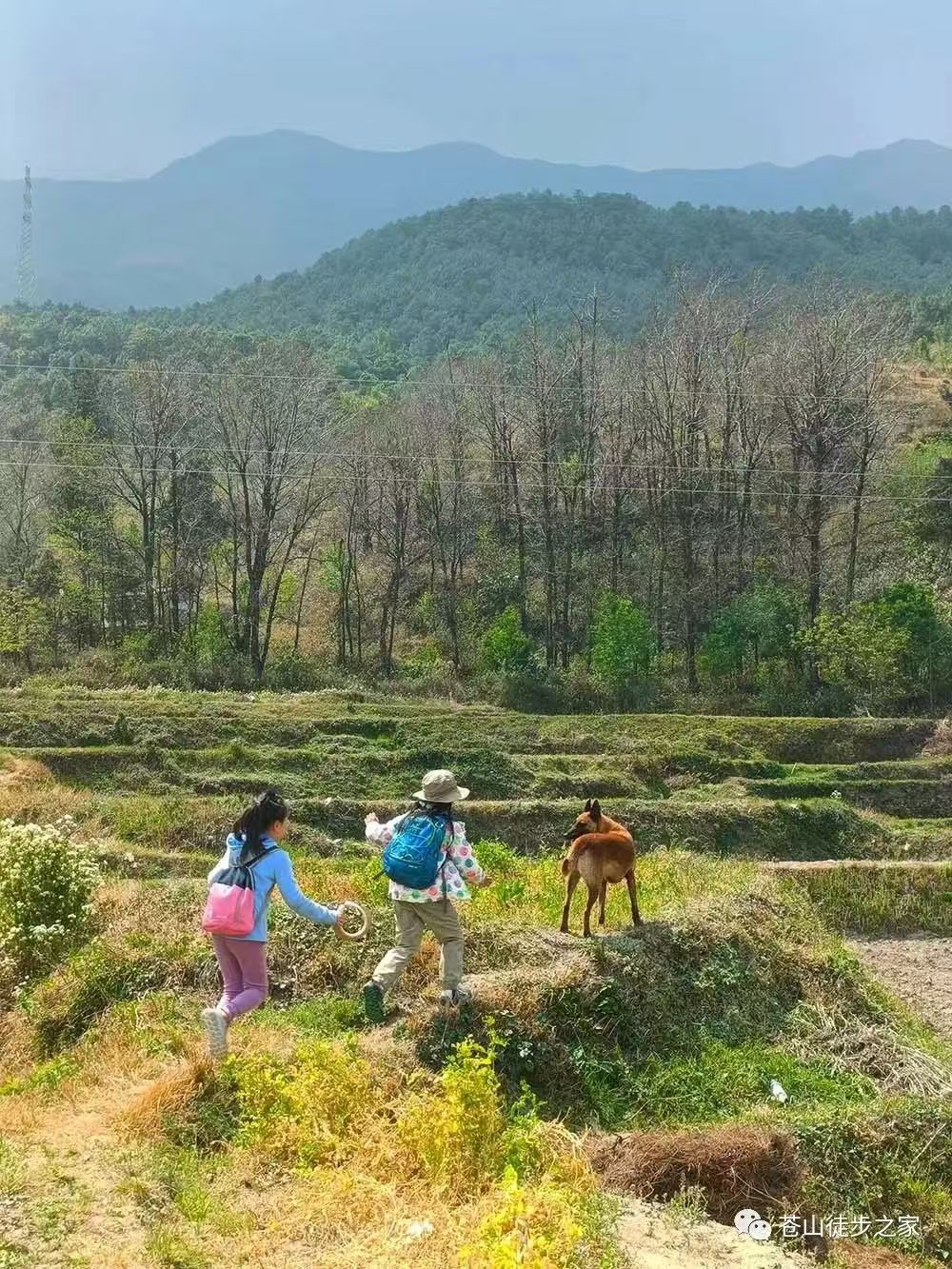 슈샤와 함께 보석 줍기 · 물놀이 · 그림 그리기