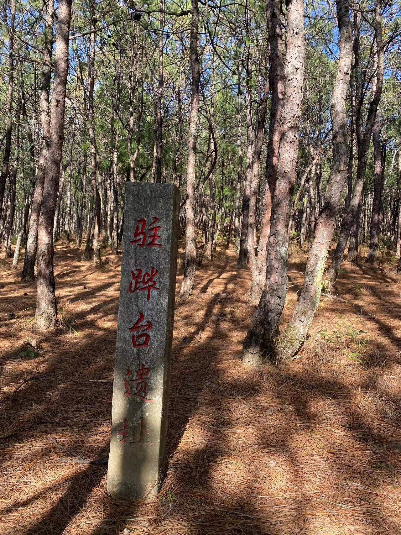 阔松坪轻徒步 | 田野 · 溪流 · 森林