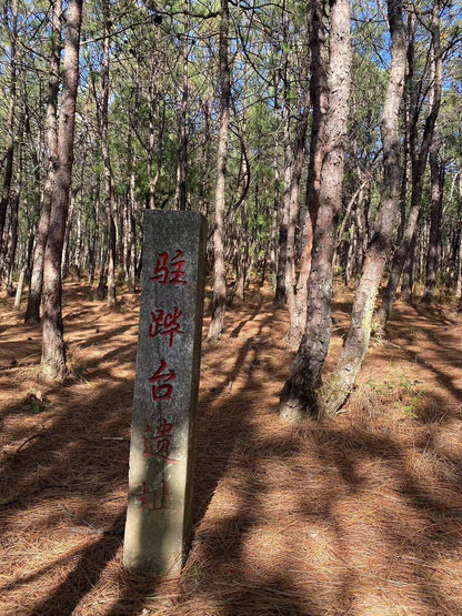 阔松坪轻徒步 | 田野 · 溪流 · 森林