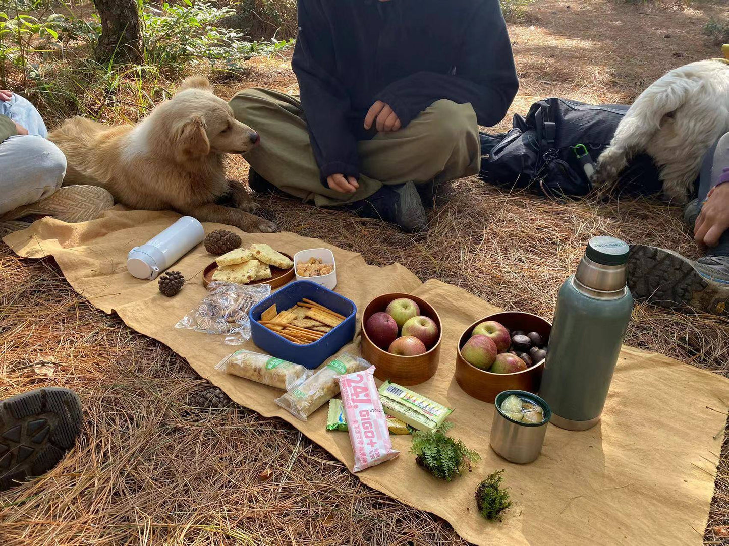 阔松坪轻徒步 | 田野 · 溪流 · 森林