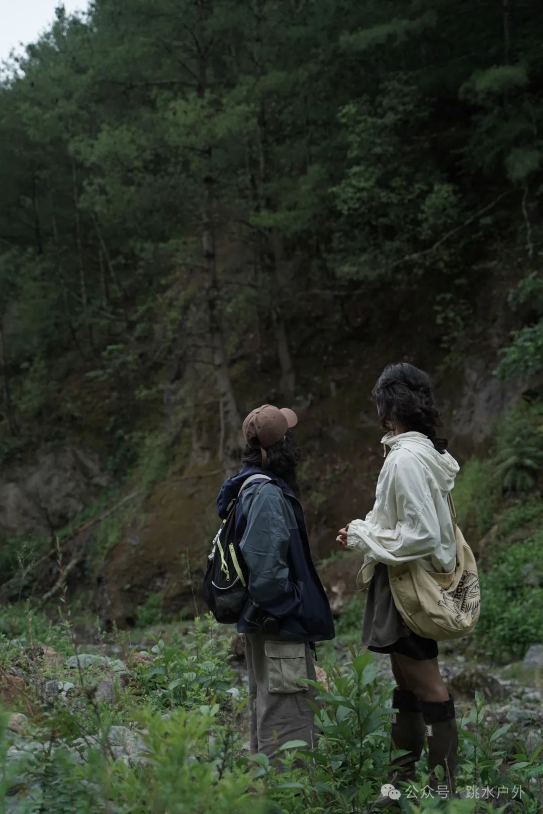 （6月、7月）深山采梅子 | 酿一瓶青梅酒