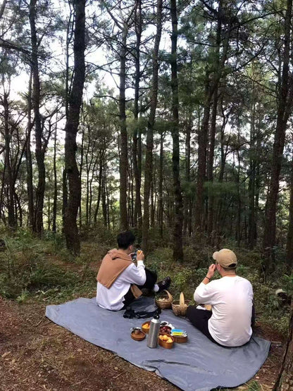 森林野道采蘑菇捡松果 | 徒步后寂照庵吃素斋