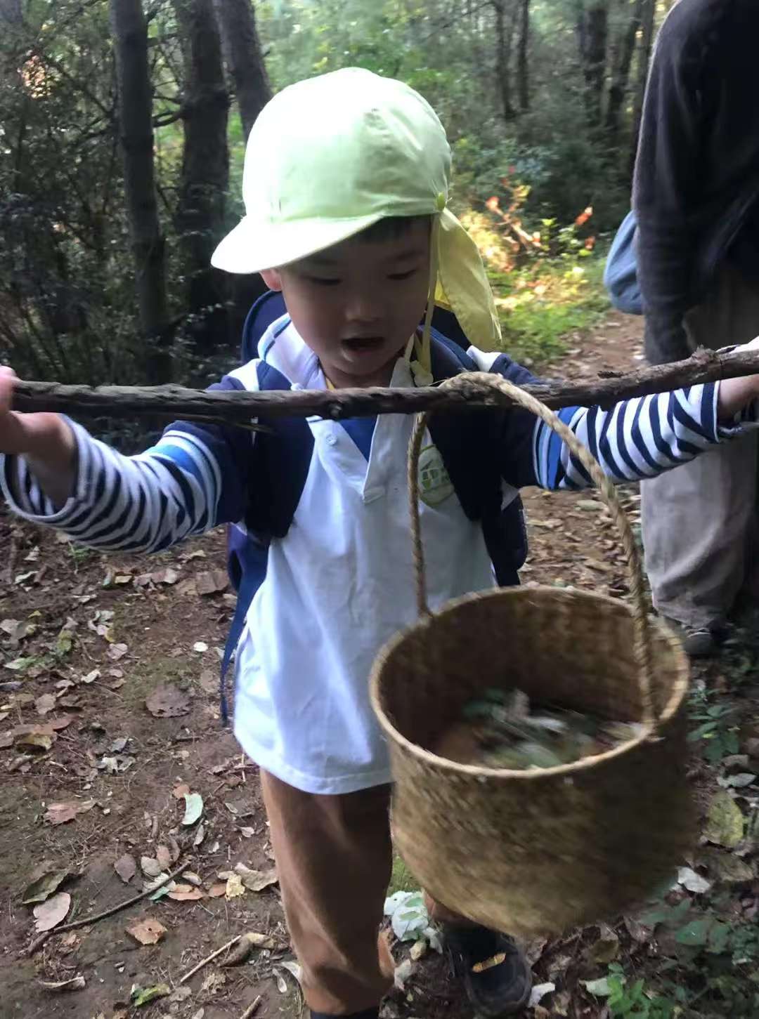 森林野道采蘑菇捡松果 | 徒步后寂照庵吃素斋