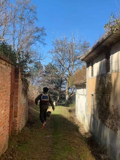 森林野道采蘑菇捡松果 | 徒步后寂照庵吃素斋