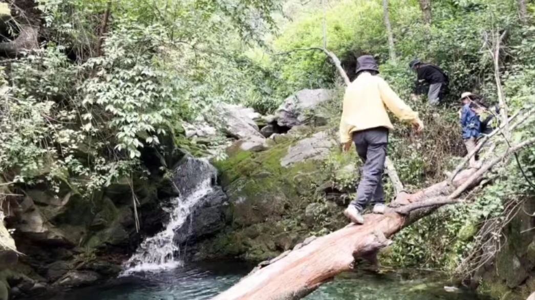 溪流里的溯溪 6岁+