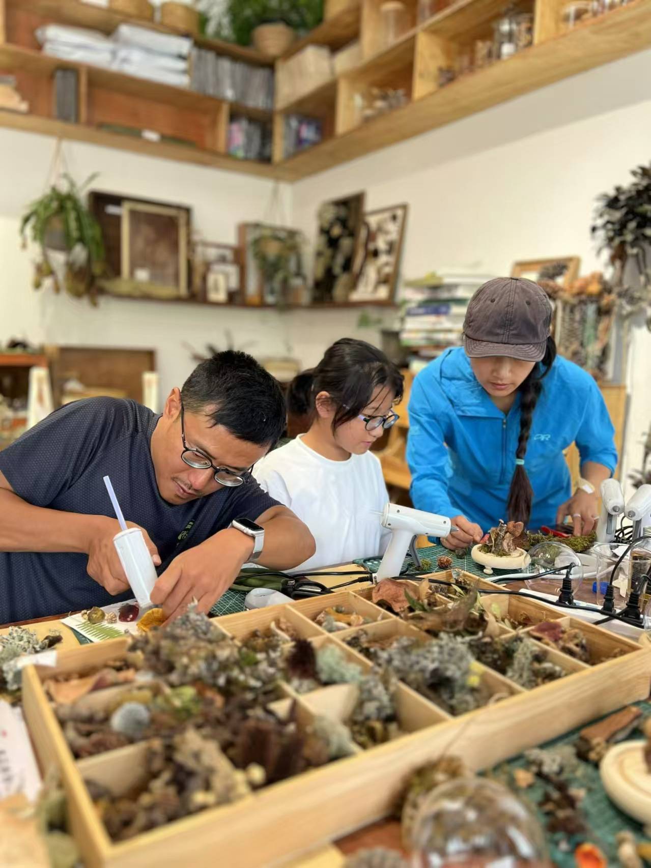 用植物和果实制作一幅画框