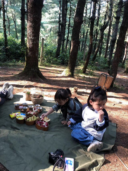 山间四季的集采