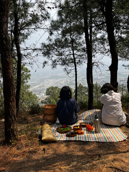 （3-6月）苍山采野生茶 制作自己的白茶