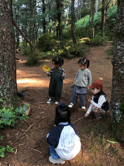 山间四季的集采