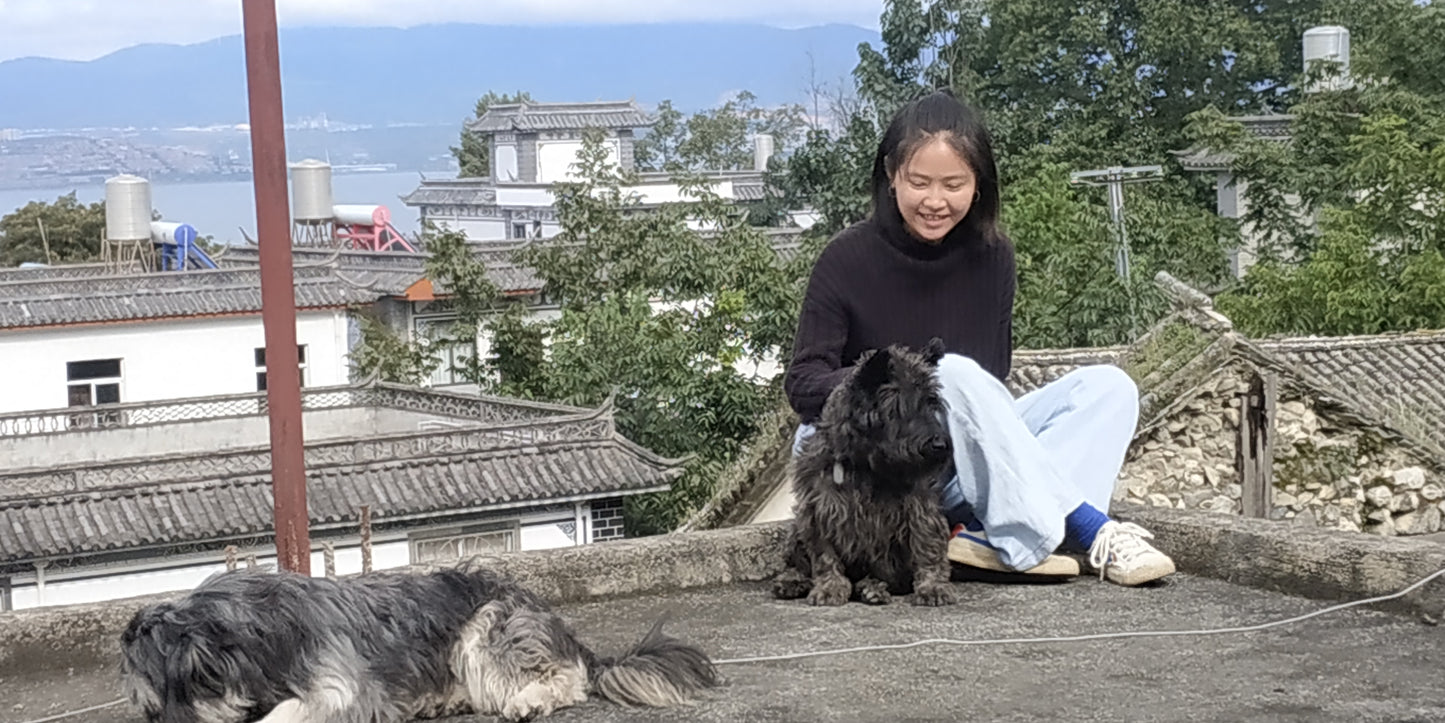 杂草景