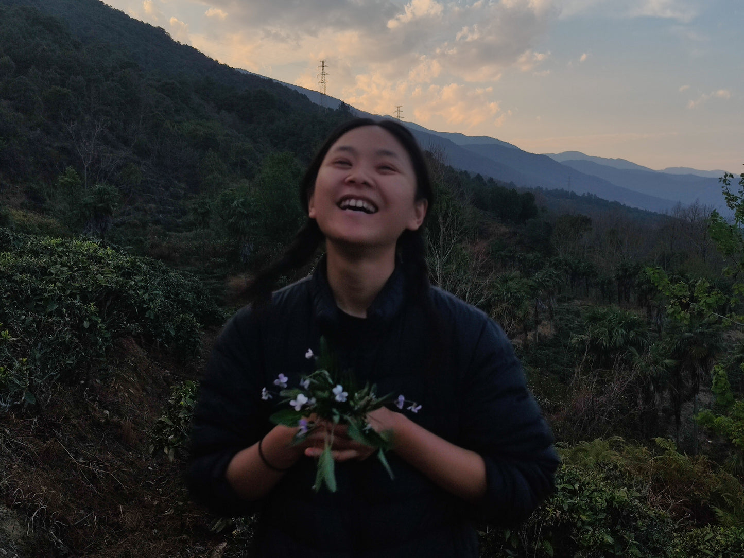 杂草景