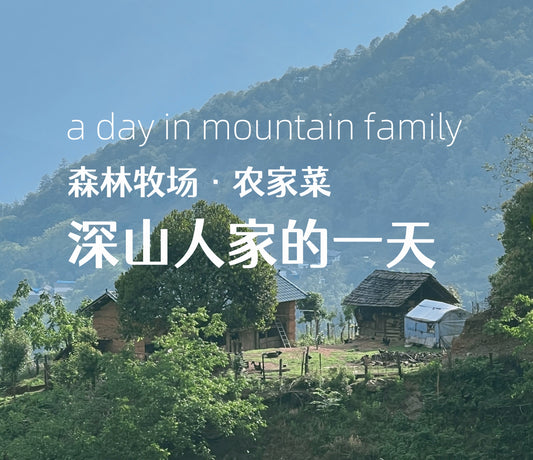 西坡山里人家的一天