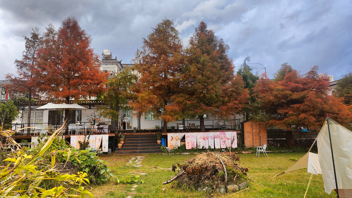 有田野大草坪和开阔视野的乡村民宿 | 面包树花园