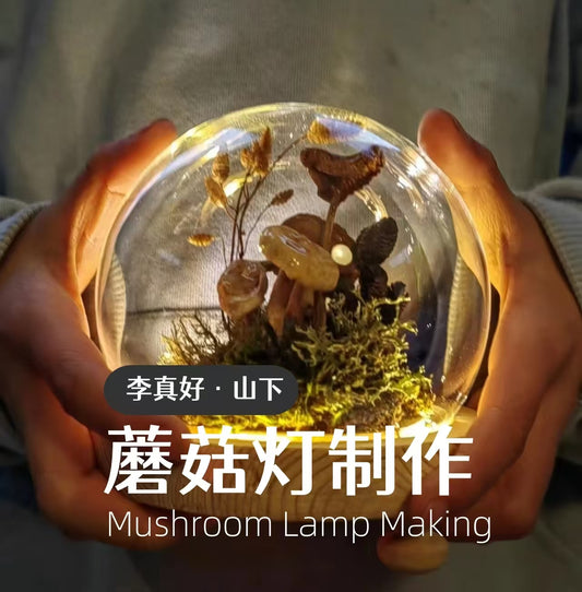 制作「蘑菇灯」| 用自己森林里采集的蘑菇