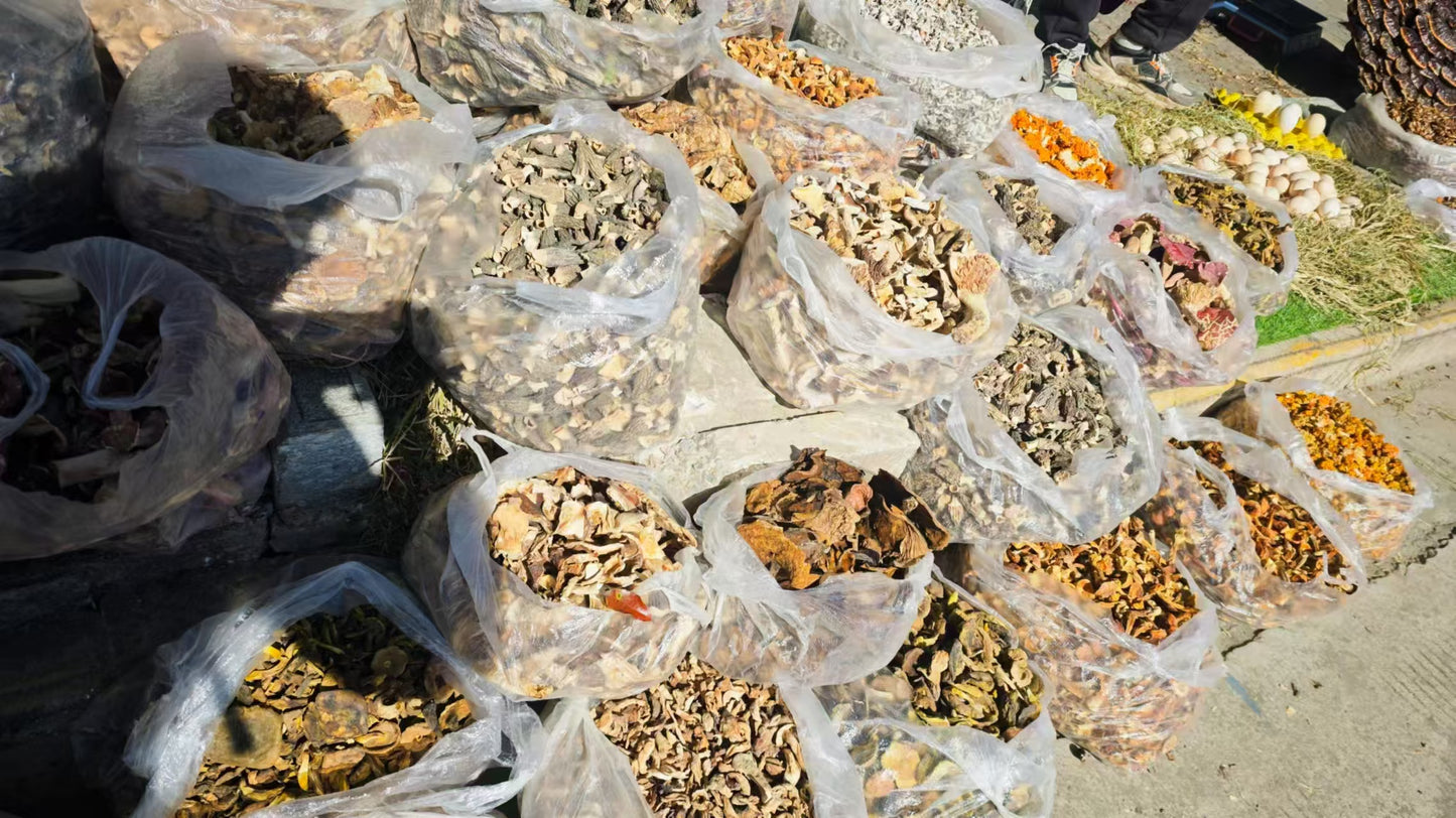 骑行大理周边 | 探寻苍山脚下的村落与人