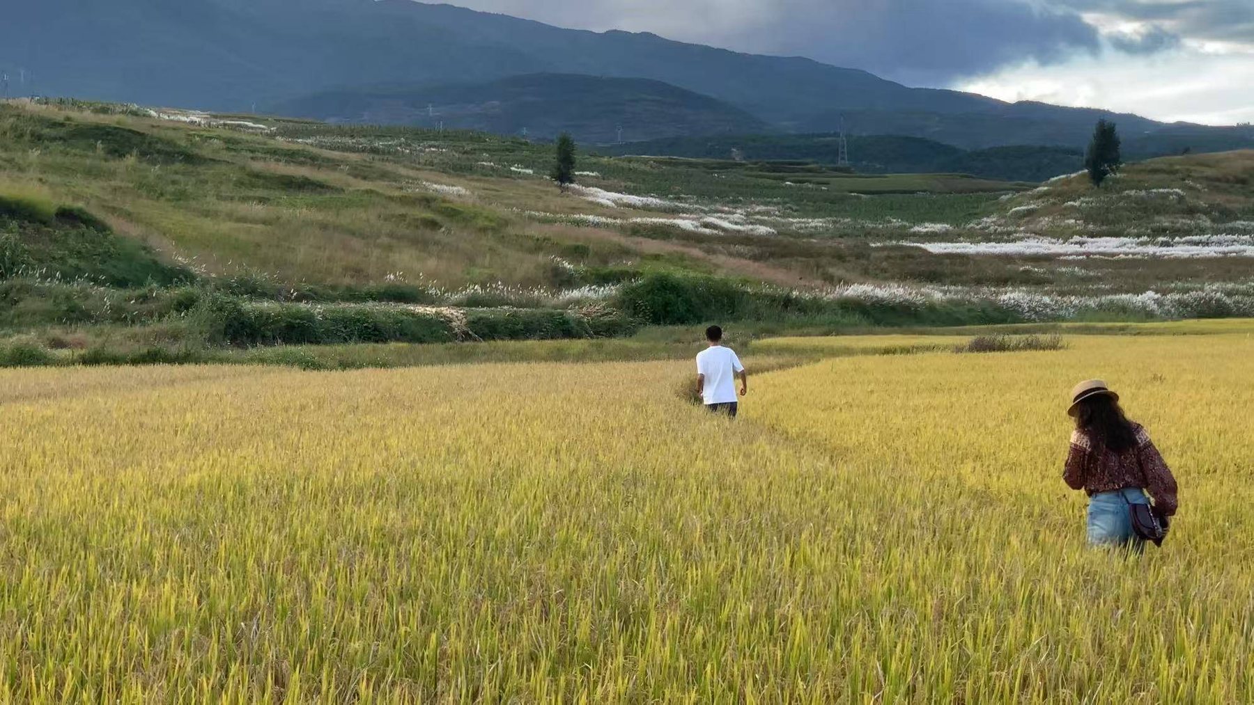 凤羽乡村旅行 16
