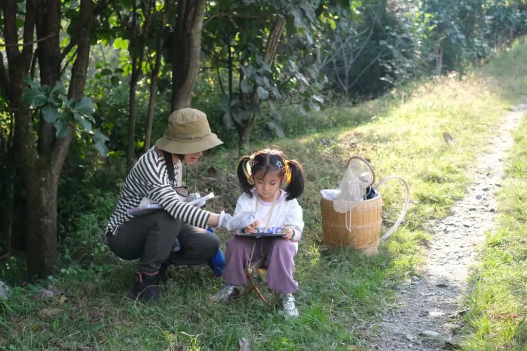 自然观察与笔记 | 鸟类、植物和昆虫