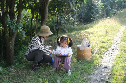 自然观察与笔记 | 鸟类、植物和昆虫