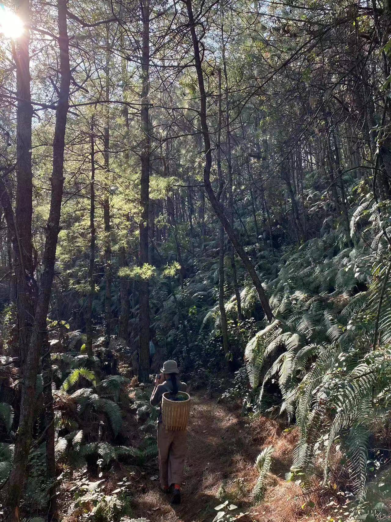 阔松坪轻徒步 | 田野 · 溪流 · 森林