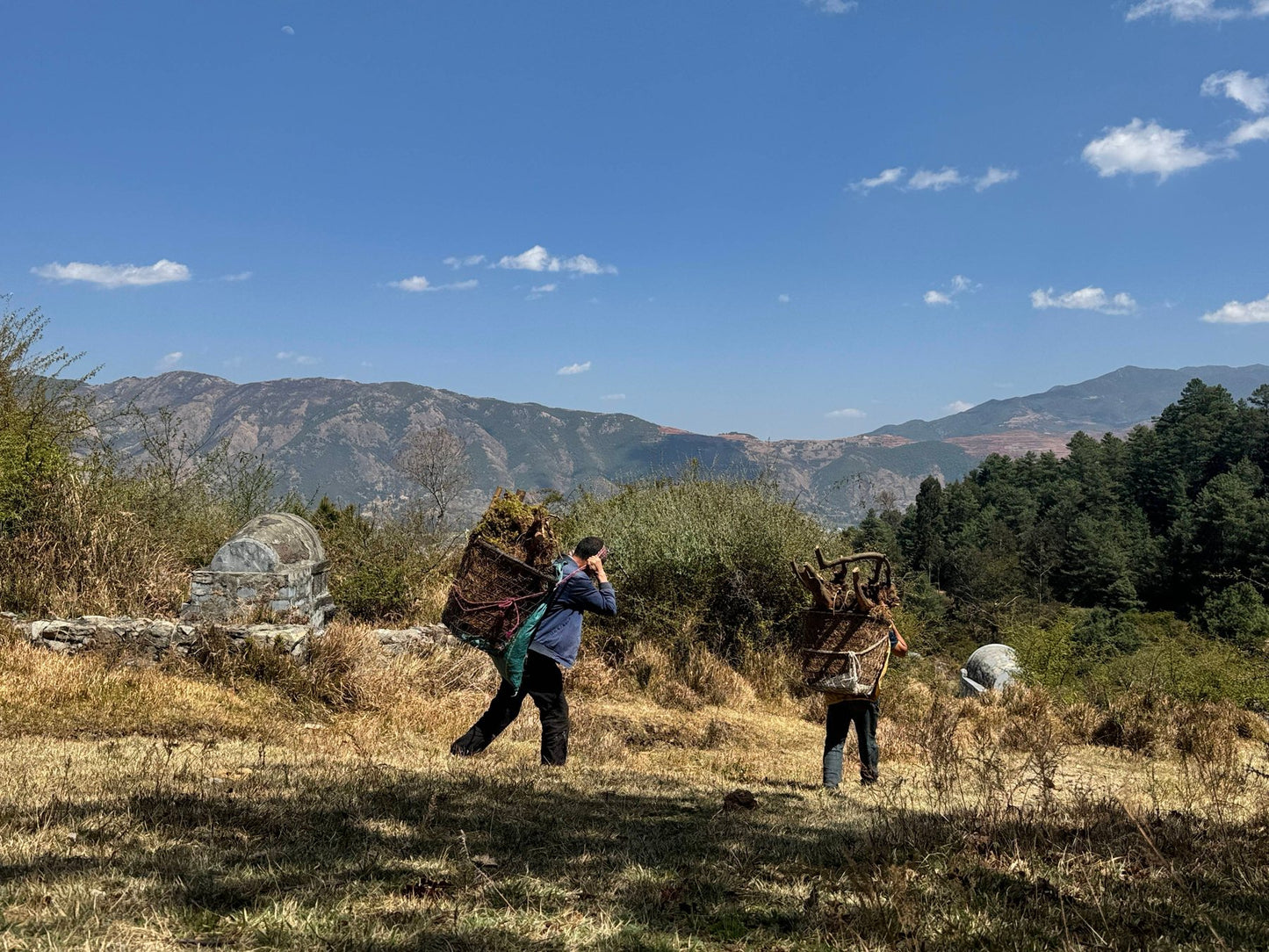 凤羽乡村旅行 8