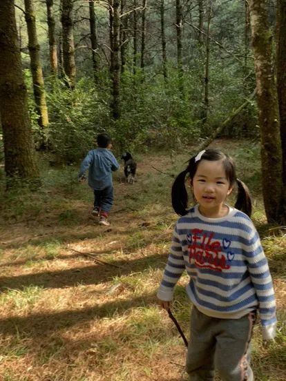 山间四季的集采