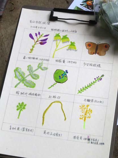 自然观察与笔记 | 鸟类、植物和昆虫