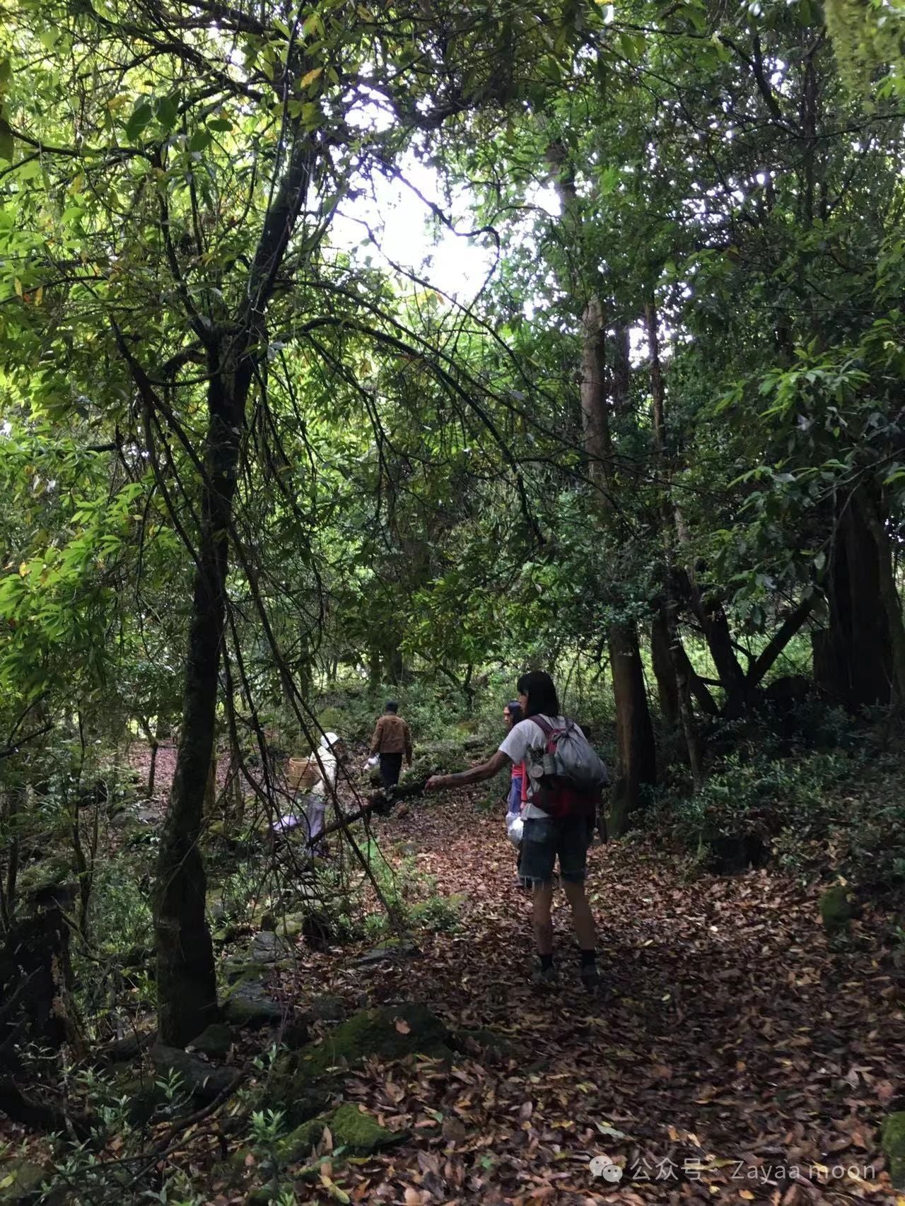 西坡山里人家的一天