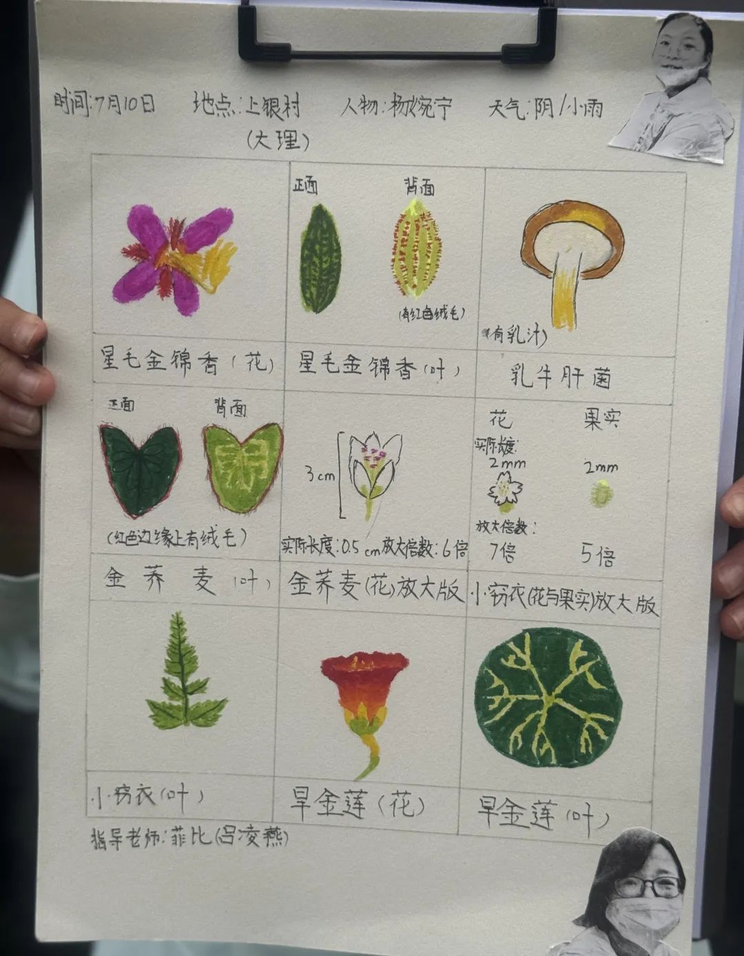 自然观察与笔记 | 鸟类、植物和昆虫