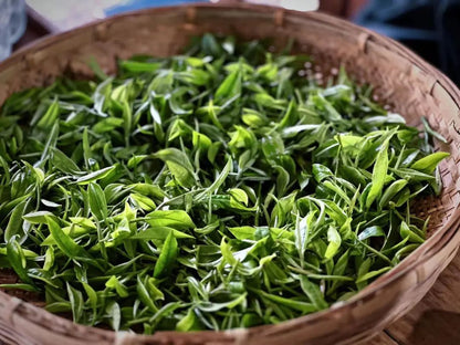 「莫催茶室」的明前绿茶 和 滇红茶