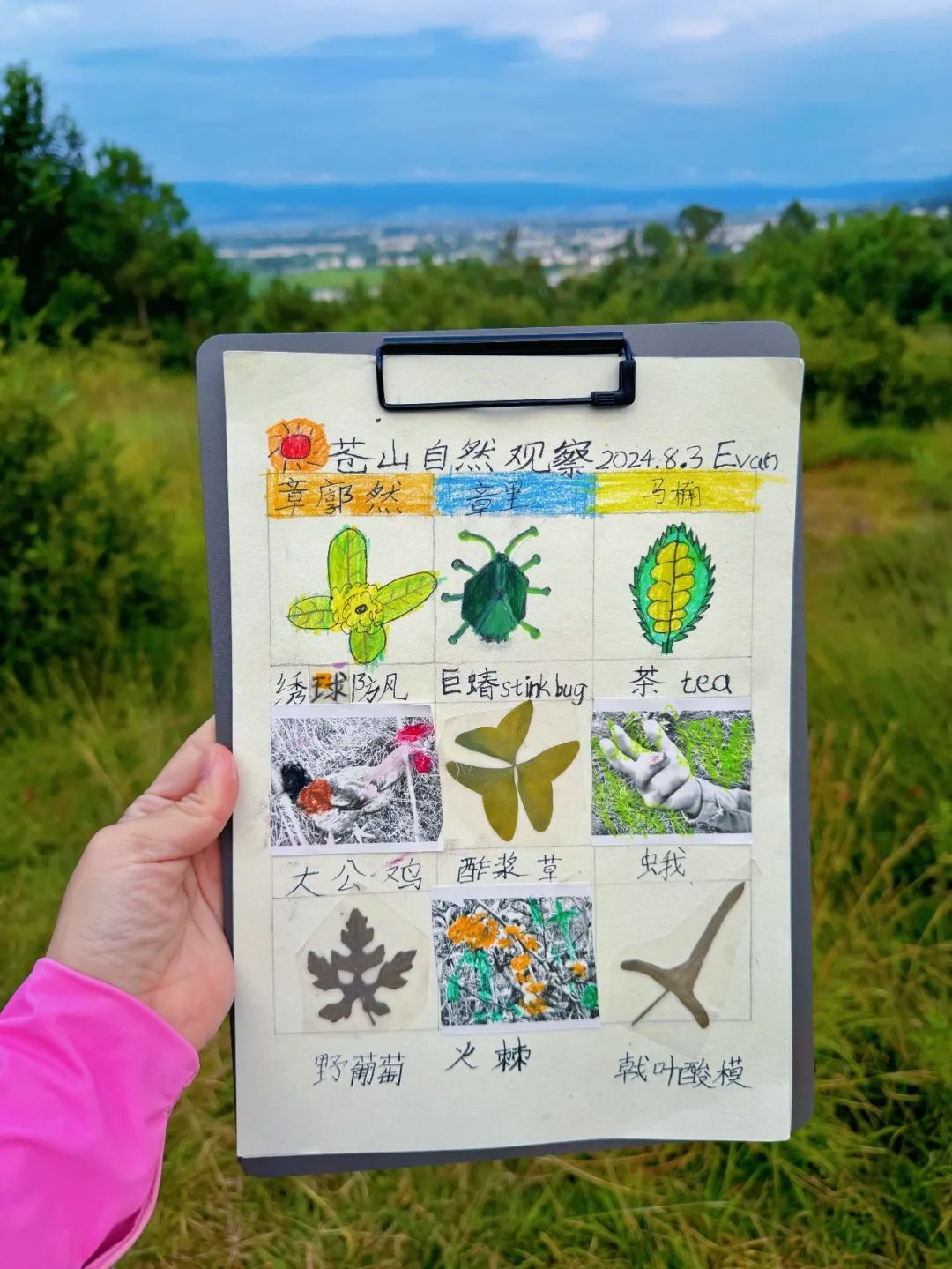 自然观察与笔记 | 鸟类、植物和昆虫