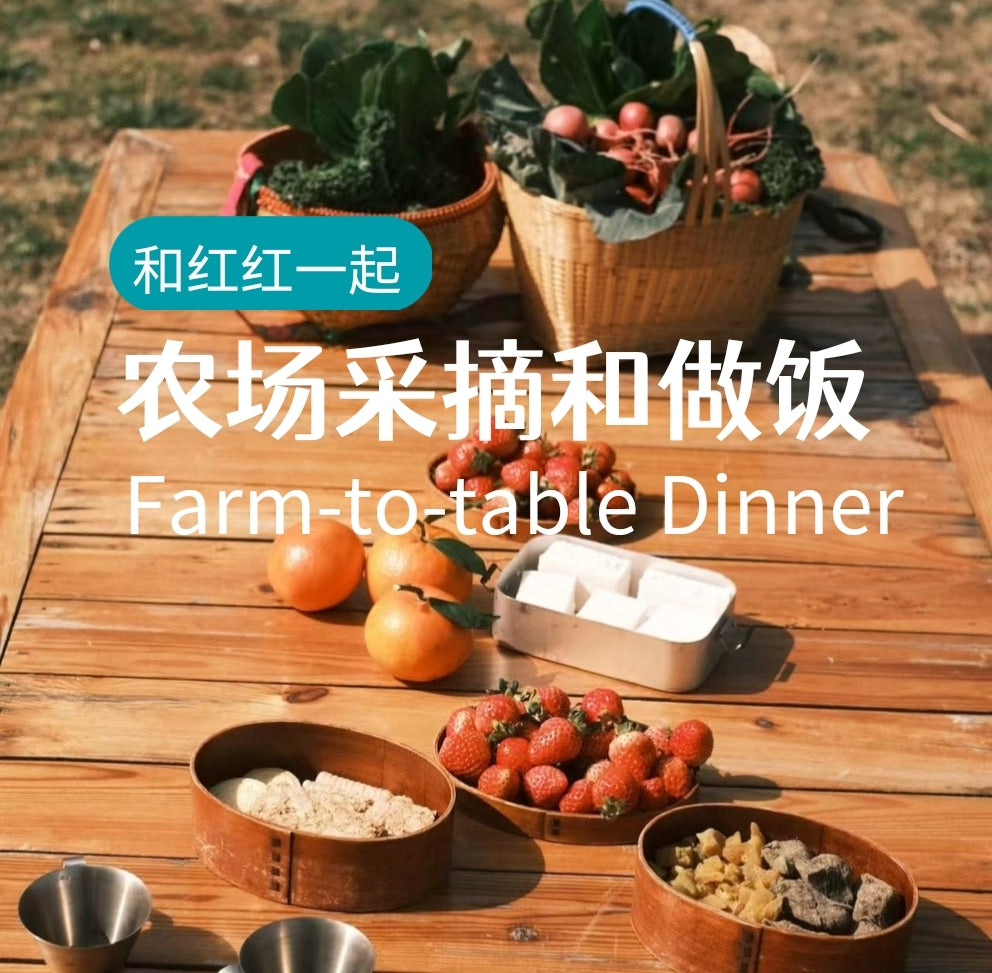去有机农场采摘 | 和红红一起在家做饭