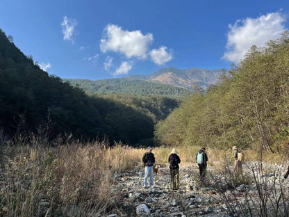 阔松坪轻徒步 | 田野 · 溪流 · 森林