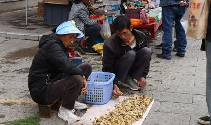 骑行大理周边 | 探寻苍山脚下的村落与人