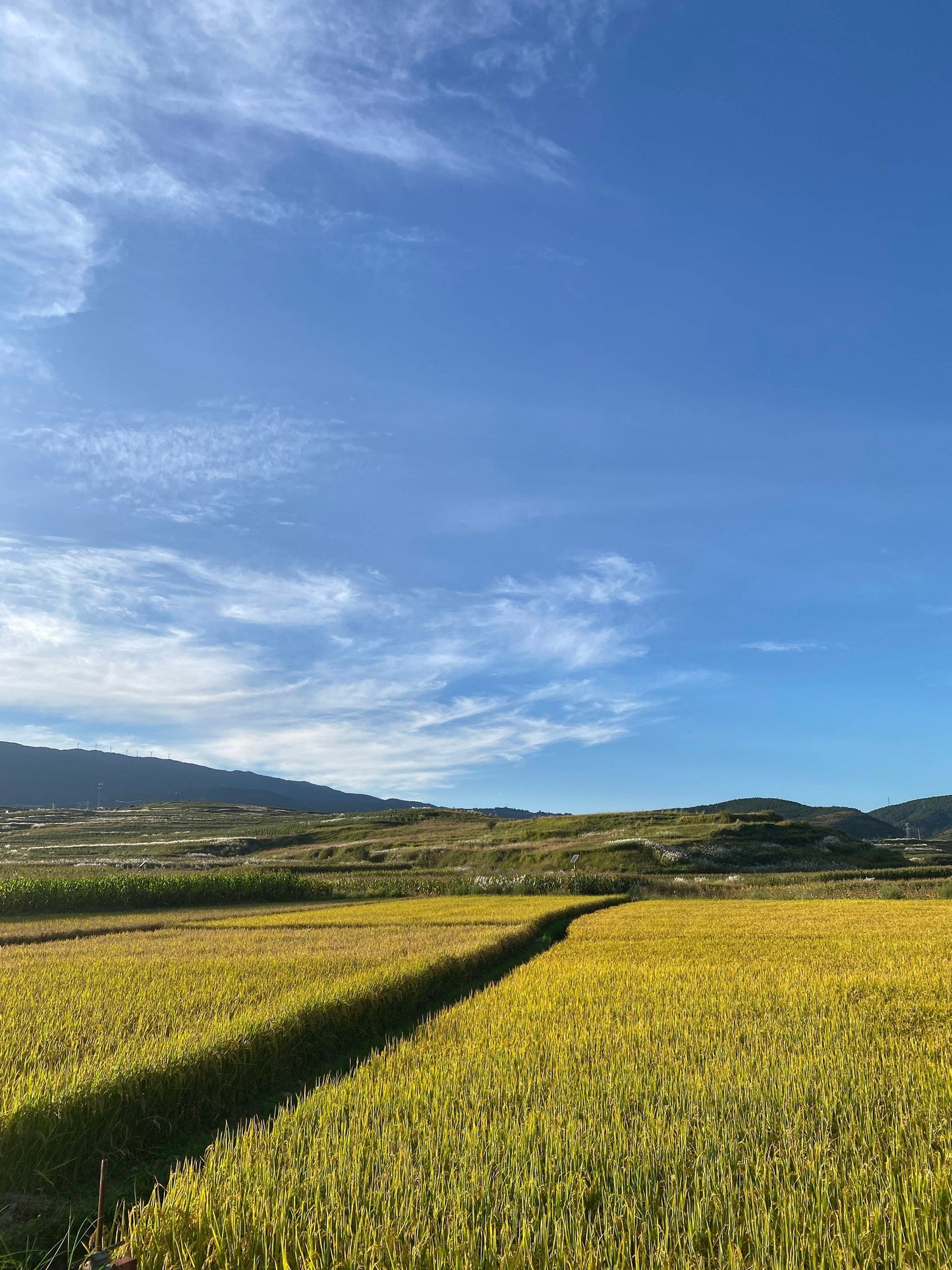 凤羽乡村旅行 17