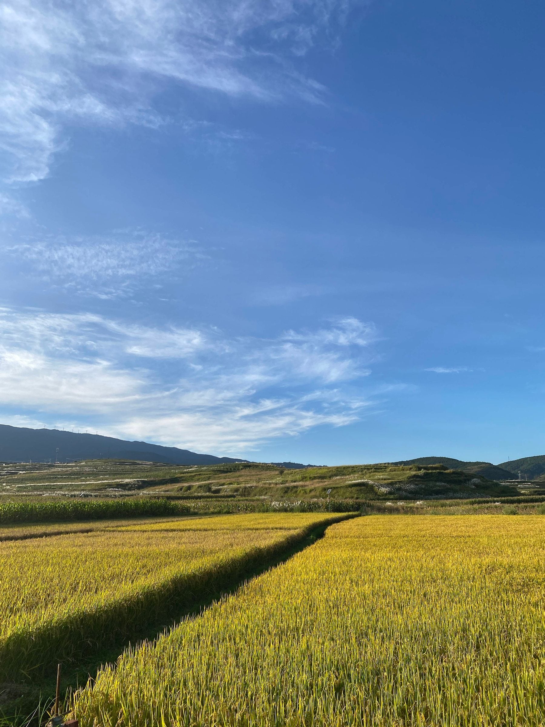 凤羽乡村旅行 17