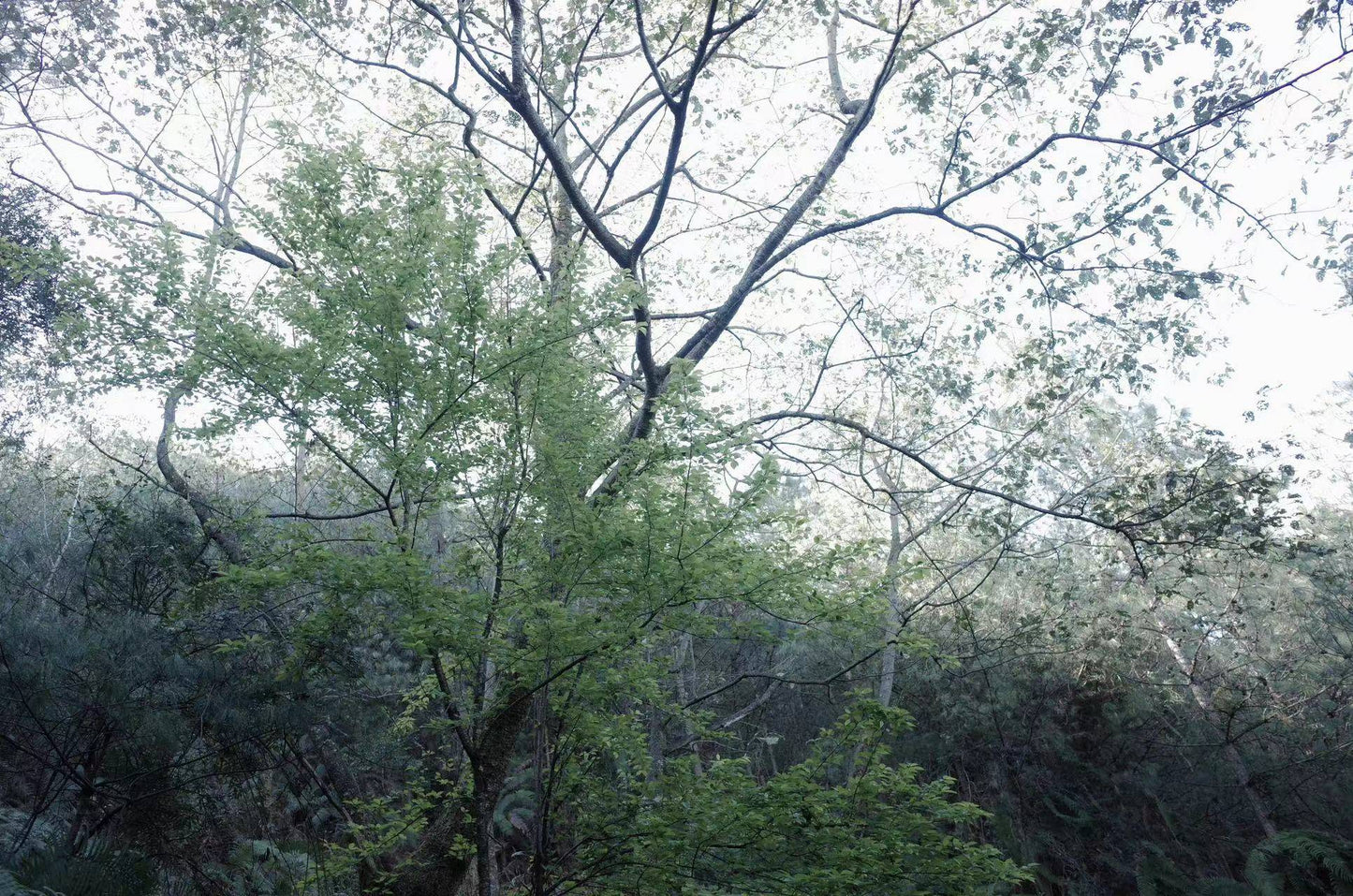 阔松坪轻徒步 | 田野 · 溪流 · 森林