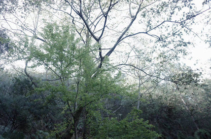 阔松坪轻徒步 | 田野 · 溪流 · 森林