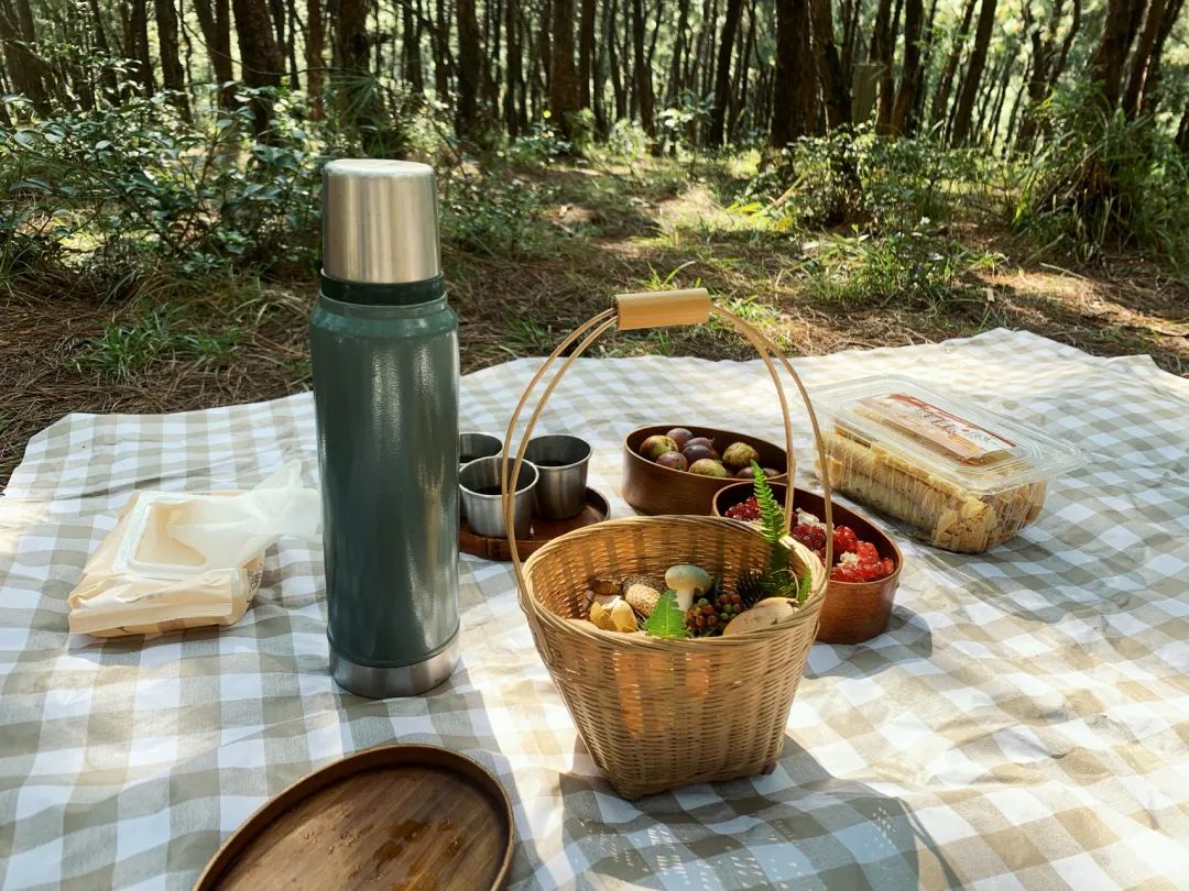 （6-10月）上山采蘑菇 | 在农家吃菌子餐