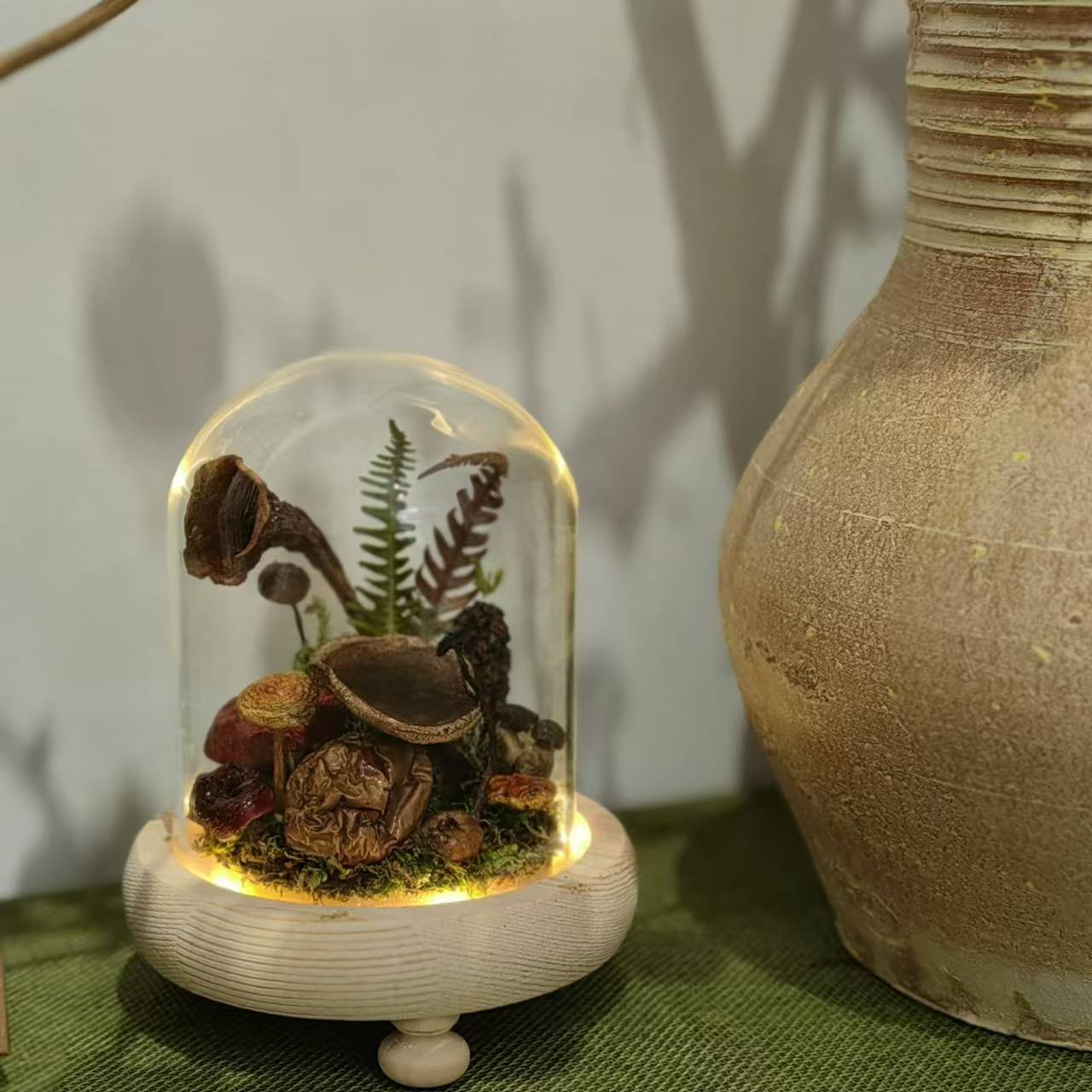 制作「蘑菇灯」| 用自己森林里采集的蘑菇