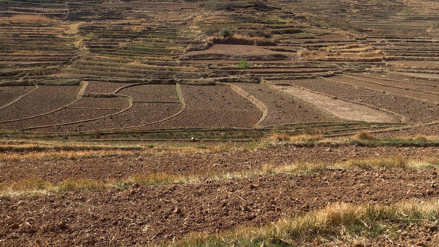 凤羽乡村旅行 10