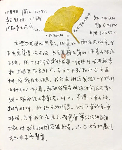 自然观察与笔记 | 鸟类、植物和昆虫