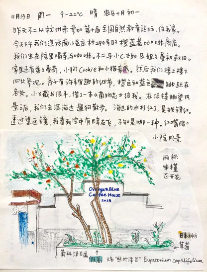自然观察与笔记 | 鸟类、植物和昆虫