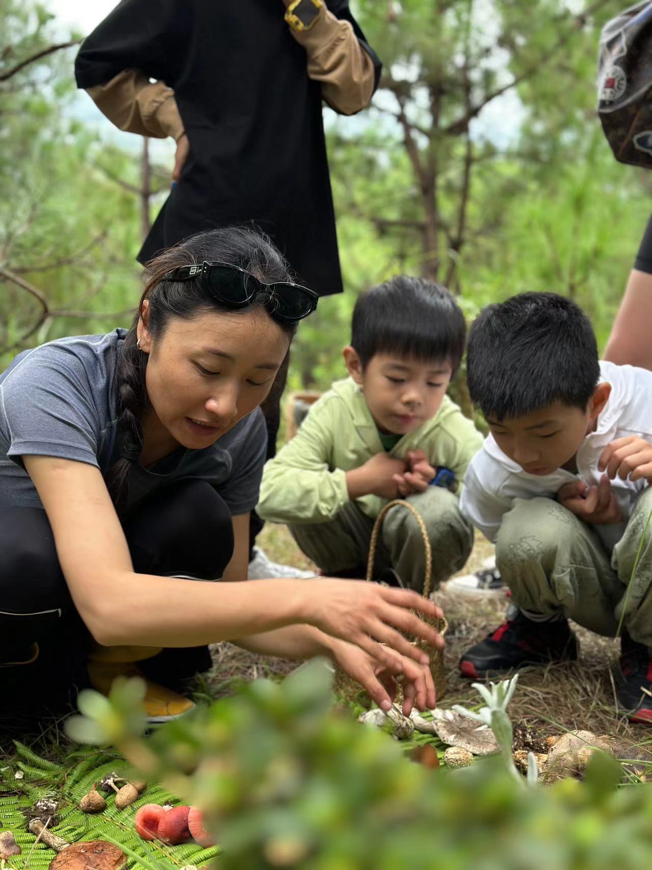 李真好 | 苍山蘑菇小景观