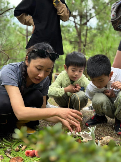 李真好 | 苍山蘑菇小景观