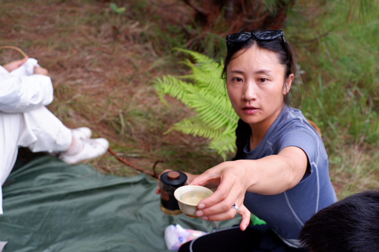 李真好 | 苍山蘑菇小景观