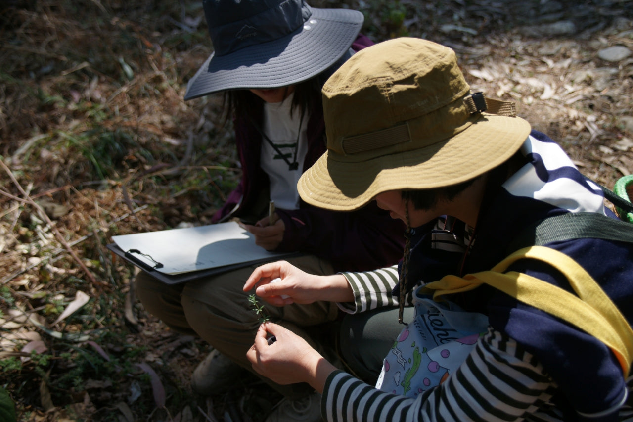 Guides Together
