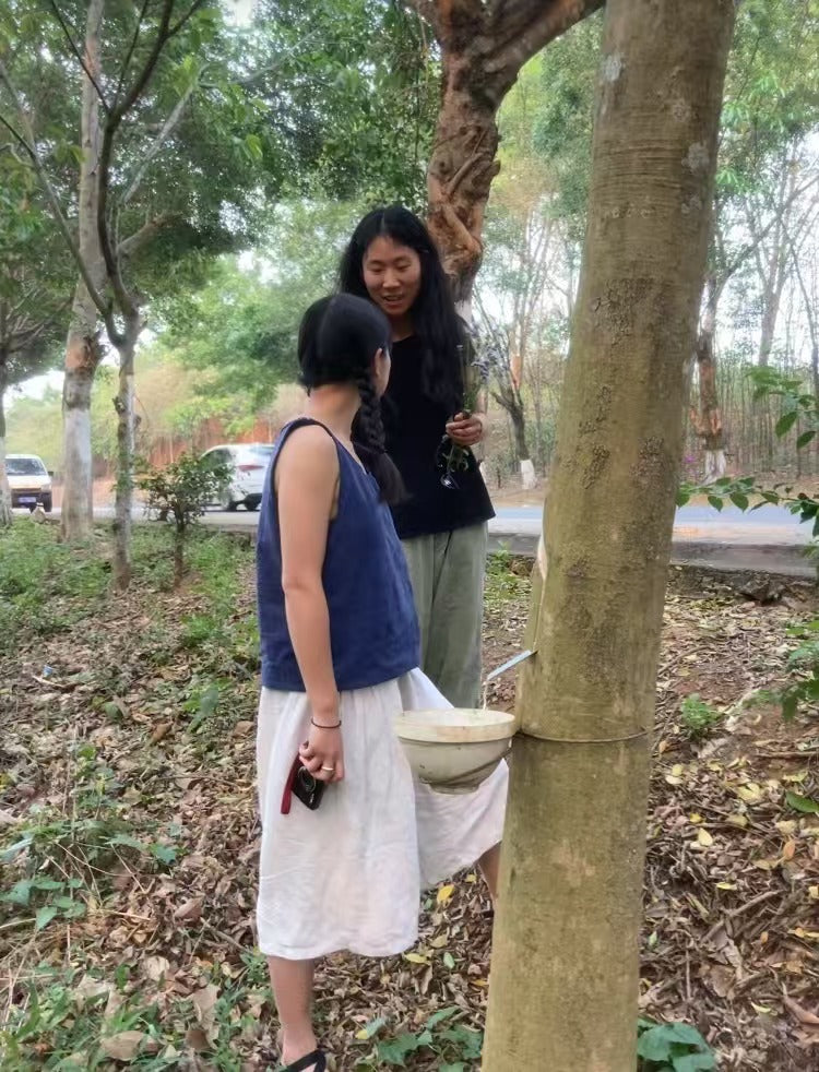 杨米